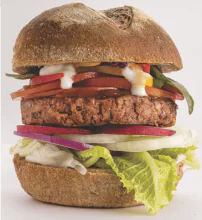 Veggie Burger 150 g e x 2 in a pack