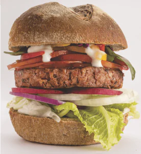 Veggie Burger 150 g e x 2 in a pack