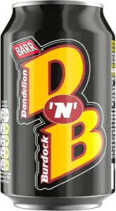Dandelion & Burdock Cans 330ml
